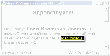     Macromedia