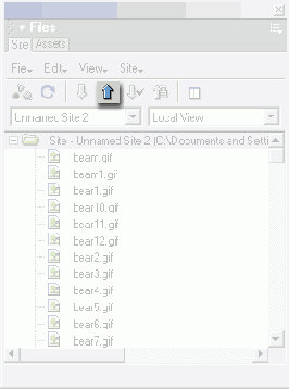  Put File(s)   Site