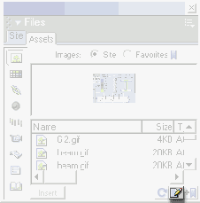  Edit  Assets